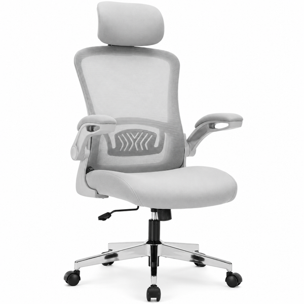 Nyxi Ergonomic Office Chair for Work, Computer Desk & Study, High Back Mesh Chair with Foldable Armrests (Grey, Model 751)