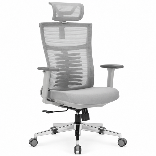 Nyxi Office Chair Premium Ergonomic Foam Seat, 3D Armrests, Headrest & Lumbar Support, 3-Angle Locking (Grey)