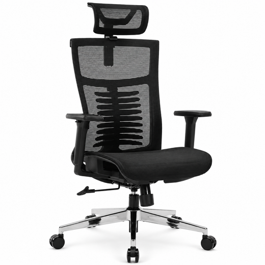 Nyxi Office Chair Premium Ergonomic Mesh Seat, 3D Armrests, Headrest & Lumbar Support, 3-Angle Locking (Black)