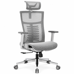 Nyxi Office Chair Premium Ergonomic Mesh Seat, 3D Armrests, Headrest & Lumbar Support, 3-Angle Locking (Grey)
