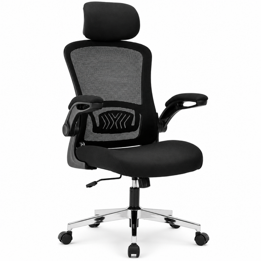 Nyxi Ergonomic Office Chair for Work, Computer Desk & Study, High Back Mesh Chair with Foldable Armrests (Black, Model 744)