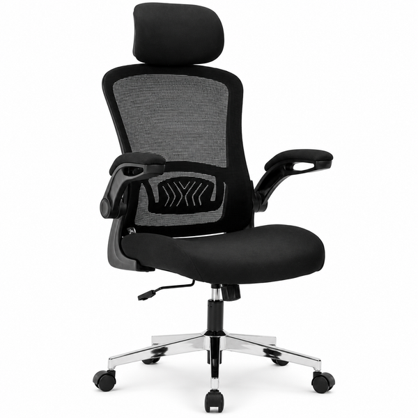 Nyxi Ergonomic Office Chair for Work, Computer Desk & Study, High Back Mesh Chair with Foldable Armrests (Black, Model 744)