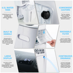 Nyxi 20L Per Day Dehumidifier with Digital Humidity Sensor, XL 6.5L Water Tank