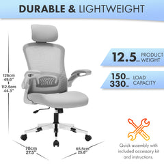 Nyxi Ergonomic Office Chair for Work, Computer Desk & Study, High Back Mesh Chair with Foldable Armrests (Grey, Model 751)