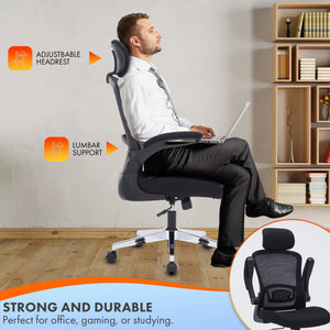 Ergonomic Office Chair for Work, Computer Desk & Study, High Back Mesh Chair with Foldable Armrests (Black, Model 744)