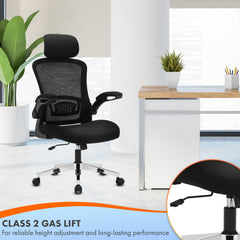 Nyxi Ergonomic Office Chair for Work, Computer Desk & Study, High Back Mesh Chair with Foldable Armrests (Black, Model 744)
