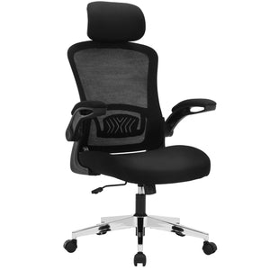 Ergonomic Office Chair for Work, Computer Desk & Study, High Back Mesh Chair with Foldable Armrests (Black, Model 744)