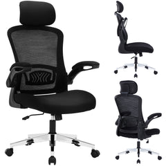 Nyxi Ergonomic Office Chair for Work, Computer Desk & Study, High Back Mesh Chair with Foldable Armrests (Black, Model 744)