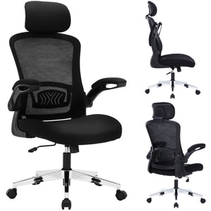 Ergonomic Office Chair for Work, Computer Desk & Study, High Back Mesh Chair with Foldable Armrests (Black, Model 744)